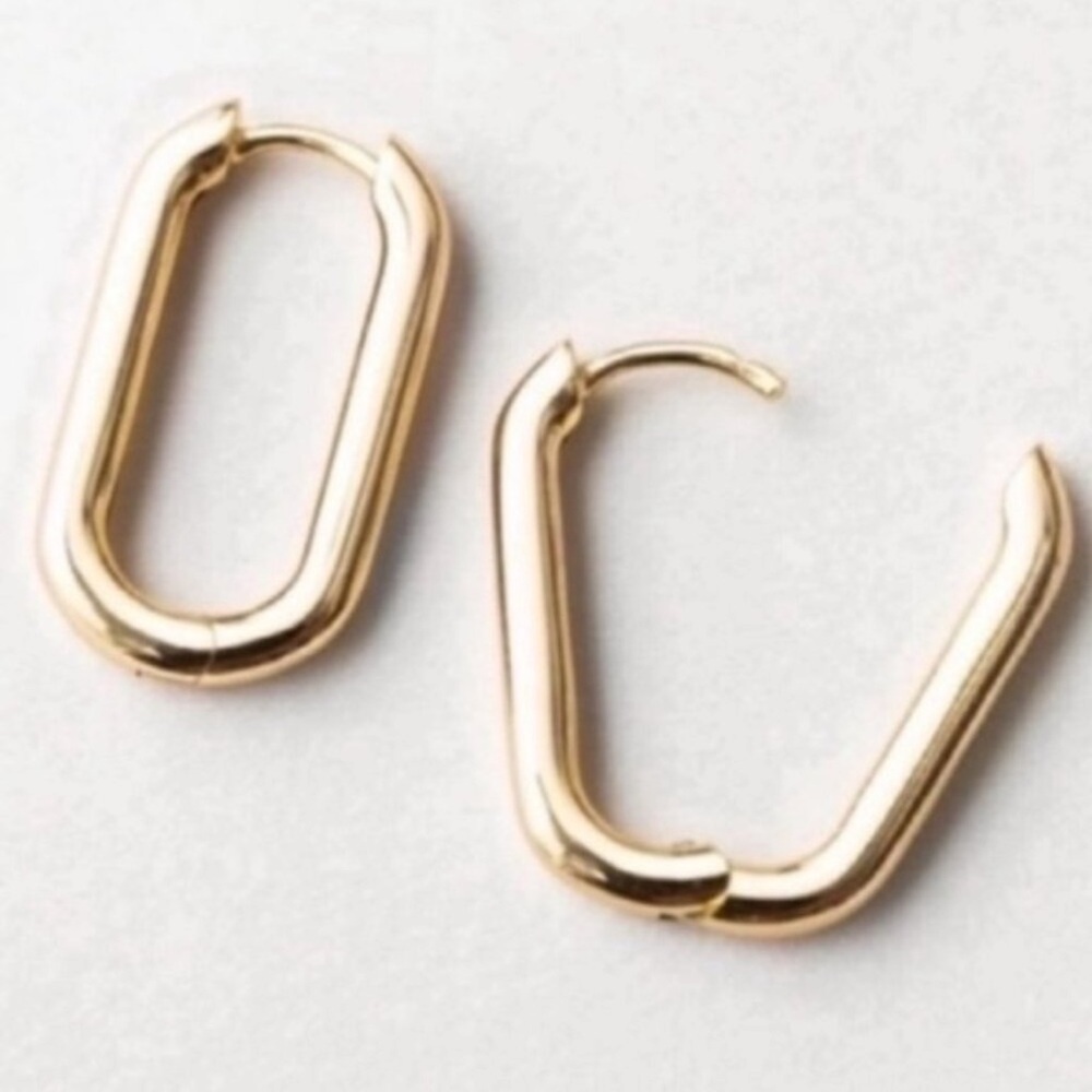 New! Carmine Gold Medium Huggie Earrings